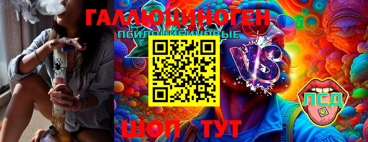 Псилоцибиновые грибы GOLDEN TEACHER Людиново